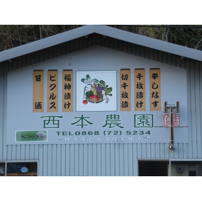 辛しなす　6パックセット【配送不可地域：離島】