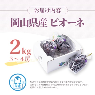 2026年先行予約　岡山県産　ピオーネ2kg箱(3～4房)【配送不可地域：離島】