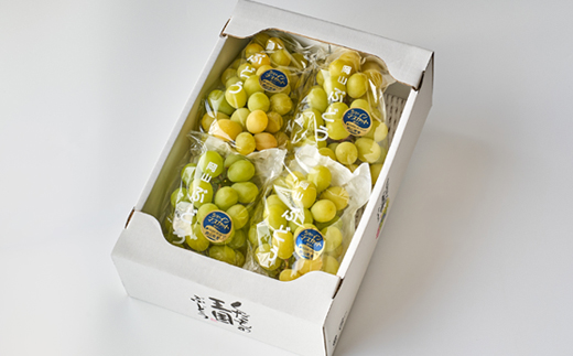 2026年先行受付【家庭用】美作市産シャインマスカット　2kg以上(3～5房)【配送不可地域：離島・北海道・沖縄県】