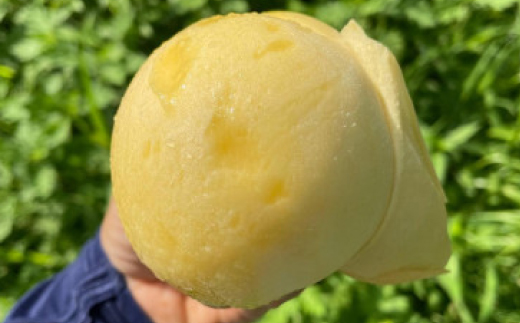 【先行予約・2026年8月上旬より発送予定】岡山の白桃・おかやま夢白桃(2kg箱)【配送不可地域：離島】