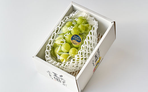 2026年先行受付　美作市産シャインマスカット650g前後　1房【配送不可地域：離島・北海道・沖縄県】