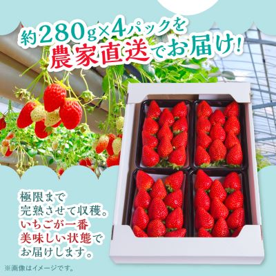 岡山県美作市産　おいCベリー(約280g×4パック)【配送不可地域：離島・北海道・沖縄県】