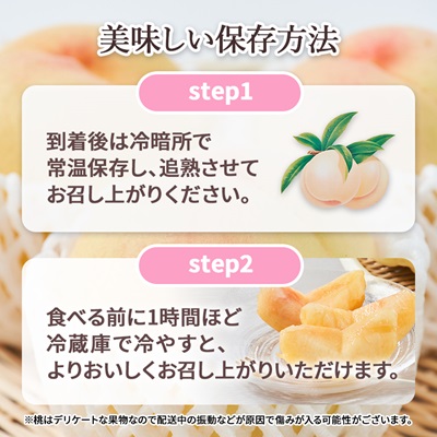 2026年先行予約　ご家庭用 岡山 清水白桃2kg(6玉～9玉)【配送不可地域：離島】