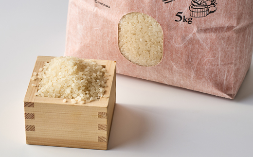 コシヒカリ　いっちょ米(5kg×1袋)