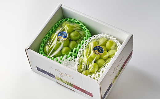 2026年先行予約　岡山県産シャインマスカット1.3kg(2房)【配送不可地域：離島】