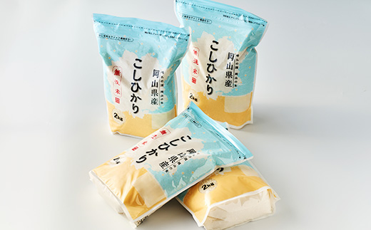 【令和7年産】【無洗米】岡山県産こしひかり8kg(2kg×4袋)