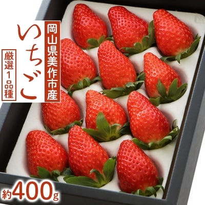 岡山県美作市産　厳選1品種いちご(約400g)【配送不可地域：離島・北海道・沖縄県】