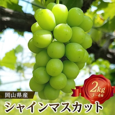 【2026年先行受付】 岡山県産シャインマスカット2kg(3～4房)【配送不可地域：離島】