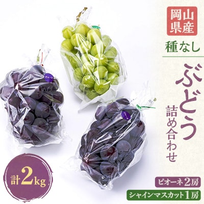 2026年先行予約　岡山県産のぶどう詰め合わせ2kg(シャインマスカット1房とピオーネ2房)【配送不可地域：離島】