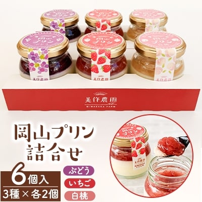 岡山プリン3種詰合せ　6個入(いちご・ぶどう・白桃)【配送不可地域：離島】