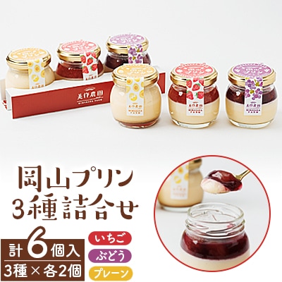 岡山プリン3種詰合せ　6個入(いちご・ぶどう・プレーン)【配送不可地域：離島】