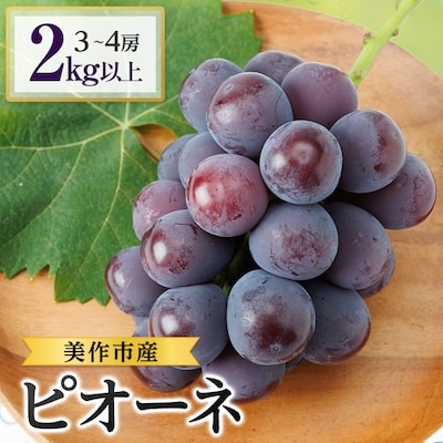 2026年先行受付　美作市産ピオーネ　2kg以上(3～4房)【配送不可地域：離島・北海道・沖縄県】