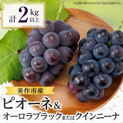 2026年先行受付　美作市産ピオーネ＆オーロラブラックまたはクイーンニーナ2kg以上【配送不可地域：離島・北海道・沖縄県】