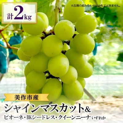 家庭用　シャインマスカット＆ピオーネ、BKシードレス、クイーンニーナ　合計3種類2kgセット【配送不可地域：離島・北海道・沖縄県】