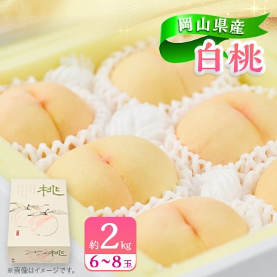 岡山県産白桃　約2kg(6～8玉)【配送不可地域：離島・北海道・沖縄県】