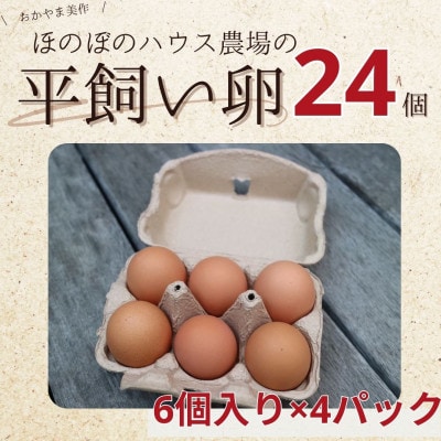 【朝採り】季節の平飼い卵有精卵6個入り×4パック【配送不可地域：離島】