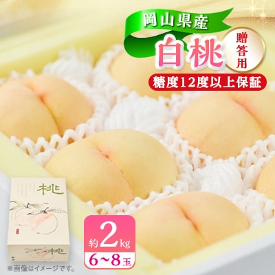 【2025年先行受付】【糖度12度以上保証】岡山県産白桃　約2kg(6～8玉)(贈答用)【配送不可地域：離島・北海道・沖縄県】