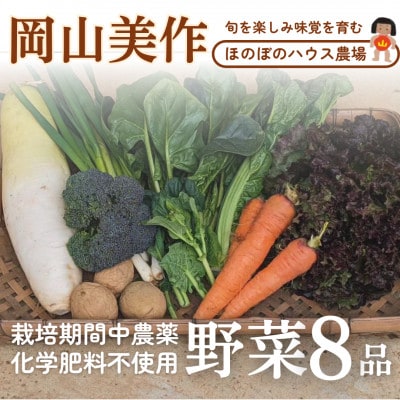 【畑から直送】岡山美作産　旬を楽しみ味覚を育む野菜約8種(約5kg)【配送不可地域：離島】