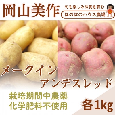 岡山県美作産じゃがいも食べ比べセット(アンデスレッド＆メークイン)　各1kg