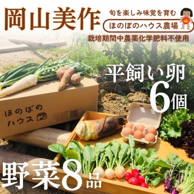岡山美作の赤土台地でじっくり育てた季節の野菜約8種類と平飼い卵(6個入り)のセットです。【配送不可地域：離島】