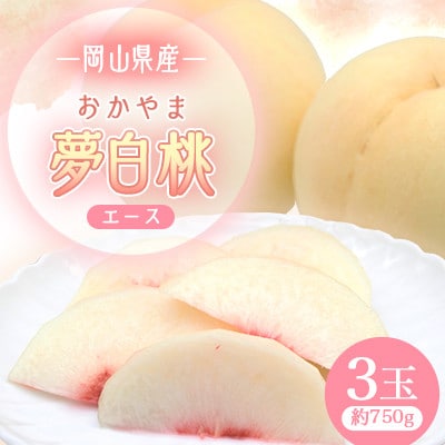 2026年先行予約　岡山県産おかやま夢白桃3玉　エース【配送不可地域：離島】