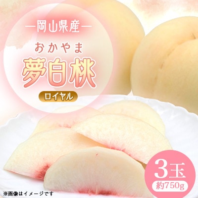 2026年先行予約　岡山県産おかやま夢白桃3玉【ロイヤル】【配送不可地域：離島】