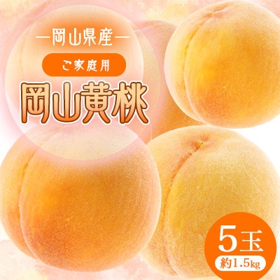 2026年先行予約　岡山黄桃　5玉　【ご家庭用】1.5キロ
