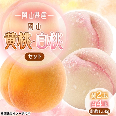 2026年先行予約　岡山白桃4玉・黄桃セット2玉　食べ比べセット
