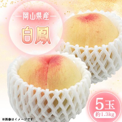2026年先行予約　白鳳　5玉　1.3キロ【配送不可地域：離島】