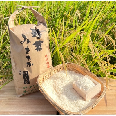 令和六年産　コシヒカリ　白米5kg