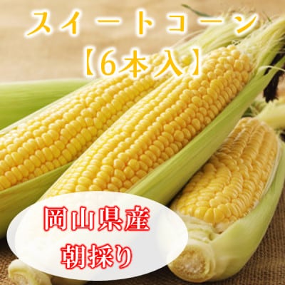 岡山県美作市産　スイートコーン6本【配送不可地域：離島・北海道・沖縄県】