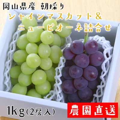 朝採りシャインマスカット＆ニューピオーネ　計1kg【配送不可地域：離島・北海道・沖縄県】