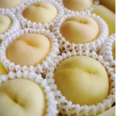 【先行予約★2026年8月上旬より順次発送予定】岡山県産　白麗(2kg箱)【配送不可地域：離島・北海道・沖縄県】