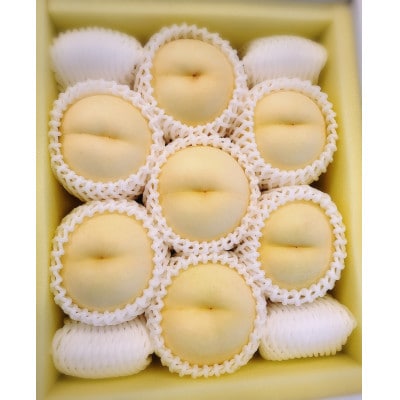 【先行予約★2026年8月下旬より順次発送予定】岡山県産　白皇(2kg箱)【配送不可地域：離島・北海道・沖縄県】