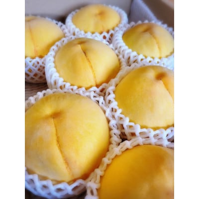 【先行予約★2026年9月中旬より順次発送予定】岡山県産　黄金桃(2kg箱)【配送不可地域：離島・北海道・沖縄県】