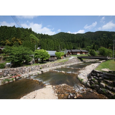 渓流釣り体験【ファミリー入場券】