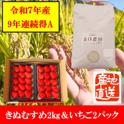 【令和7年産】新米・精米　きぬむすめ2kg＆いちご詰合せ(約280g×2パック)【配送不可地域：離島・北海道・沖縄県】