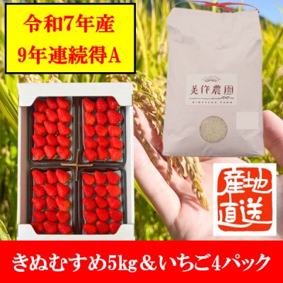 【令和7年産】新米・精米　きぬむすめ5kg＆いちご詰合せ(約280g×4パック)【配送不可地域：離島・北海道・沖縄県】
