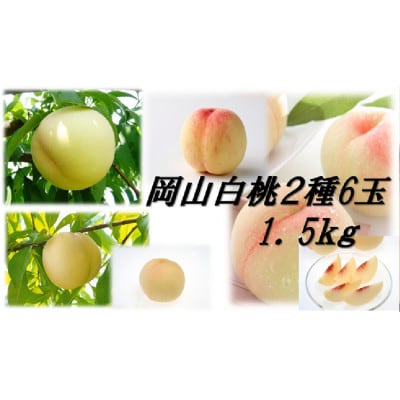 岡山白桃食べ比べ　早生種　6玉2種類【配送不可地域：離島】