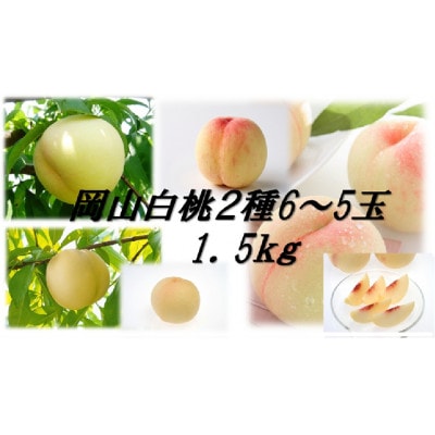岡山白桃食べ比べ　晩生種2種5～6玉【配送不可地域：離島】