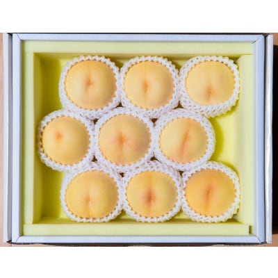 【2026年7月中旬より順次発送予定】岡山の桃　品種おまかせ　2kg箱(約6～9玉入り)【配送不可地域：離島・北海道・沖縄県】