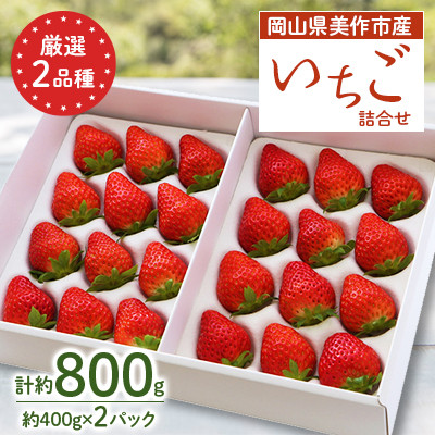 岡山県美作市産　厳選2品種いちご詰合せ(約400g×2パック)【配送不可地域：離島・北海道・沖縄県】