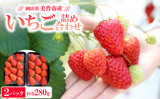岡山県美作市産　いちご詰合せ(約280g×2パック)【配送不可地域：離島・北海道・沖縄県】