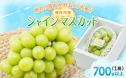 【2026年先行受付】岡山県美作市産　シャインマスカット　1房(700g以上)【配送不可地域：離島】