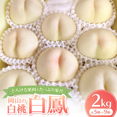 【先行予約・2026年7月発送予定】とろける果肉とたっぷり果汁の岡山の白桃・白鳳(2kg箱)【配送不可地域：離島】