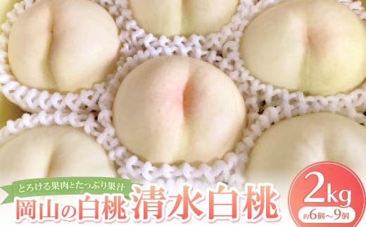 【先行予約・2026年7月下旬頃発送】とろける果肉とたっぷり果汁の岡山の白桃・清水白桃(2kg箱)【配送不可地域：離島】