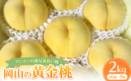 【先行予約・2026年8月上旬より発送予定】岡山県産・マンゴーの様な黄色い桃・黄金桃(2kg箱)【配送不可地域：離島】