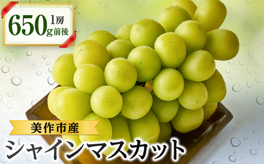 2026年先行受付　美作市産シャインマスカット650g前後　1房【配送不可地域：離島・北海道・沖縄県】