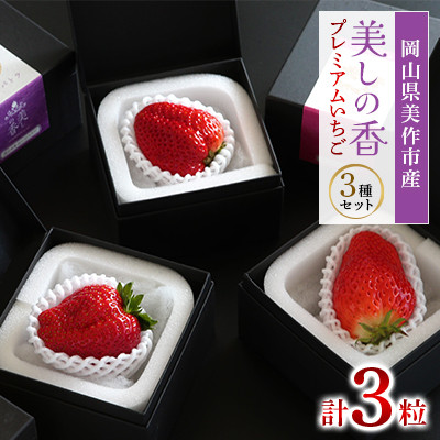 岡山県美作市産　プレミアムいちご【美しの香】1粒入　3種セット【配送不可地域：離島・北海道・沖縄県】
