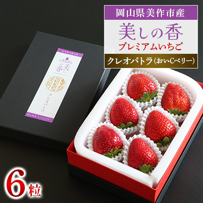 岡山県美作市産　プレミアムいちご【美しの香/クレオパトラ(おいCベリー)】6粒入【配送不可地域：離島・北海道・沖縄県】